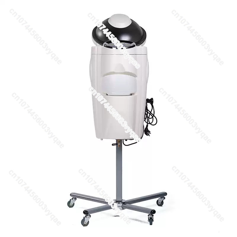 Oil Treatment Ozone Micro Mist - Hair Care Tools ulasan dan harga