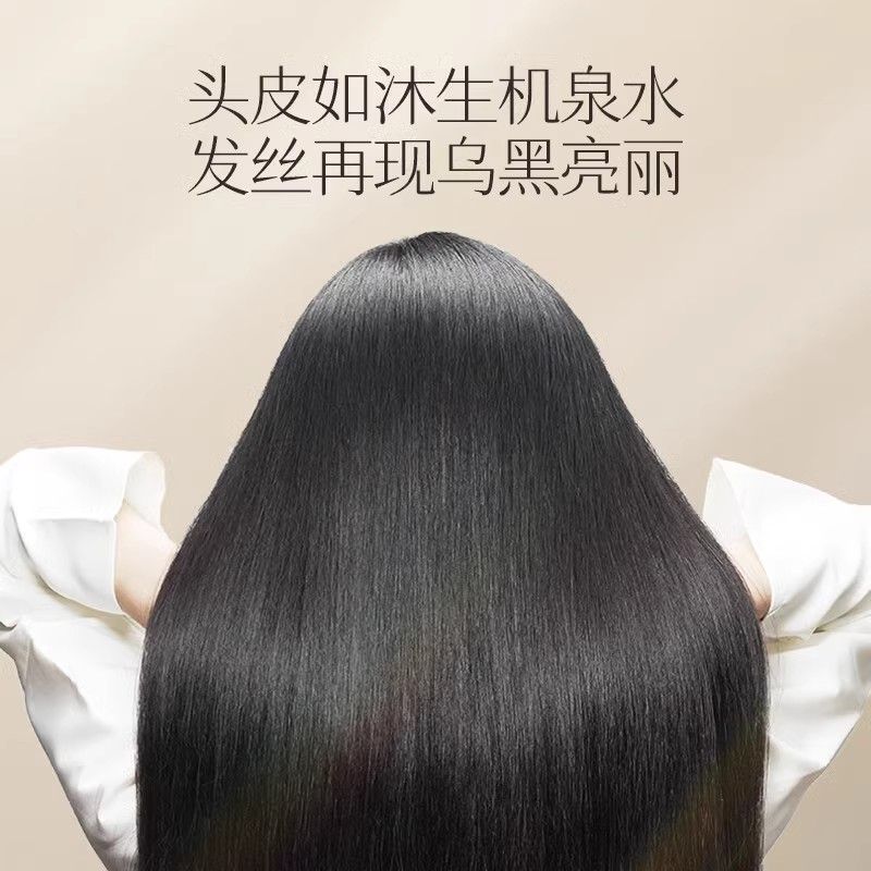 Changfa Xiaozhai Rice Water Sh - Hair Care With Rice Water ulasan dan harga