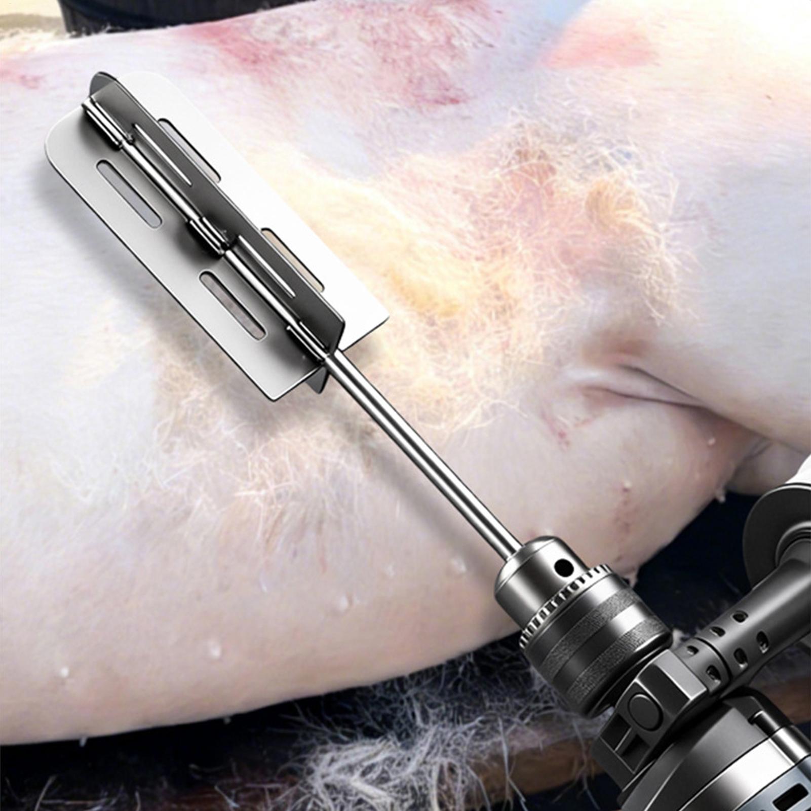 Hog Hair Removal Tool Stainles - Hair Care Tools ulasan dan harga